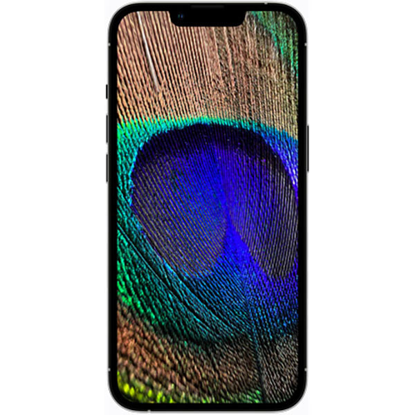 گوشی موبایل اپل مدل iPhone 13 Pro Max تک سیم کارت ظرفیت 256 گیگابایت و رم 6 گیگابایت - اروپا نات اکتیو