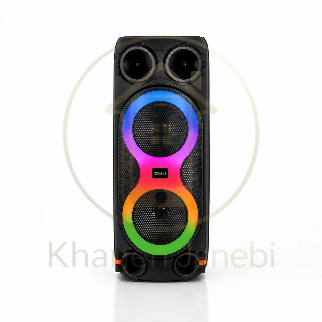 اسپیکر ویکو WeS-110 Double 8 inch